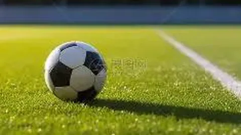 罗滕：格列兹曼不可或缺，法国队无人能及他的组织串联能力